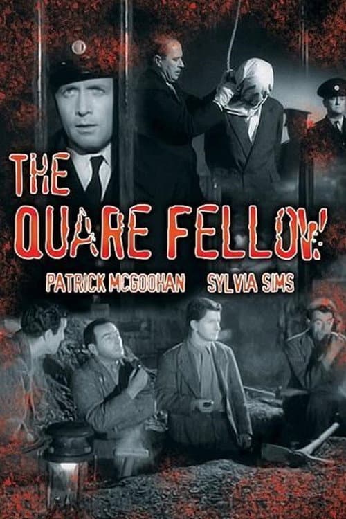 The Quare Fellow movie poster