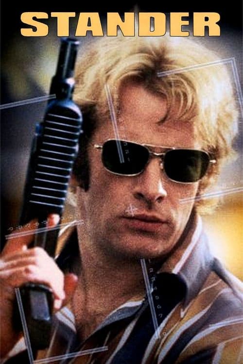 Stander movie poster