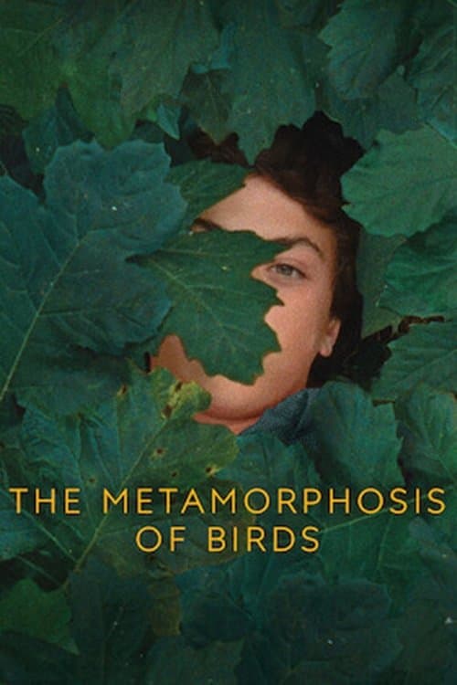 The Metamorphosis of Birds movie poster