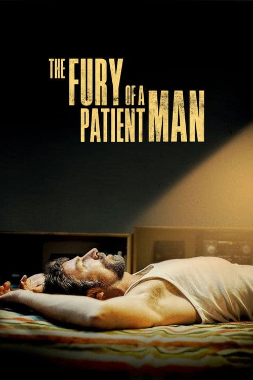 The Fury of a Patient Man movie poster