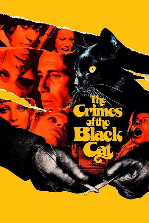 The Crimes of the Black Cat movie poster
