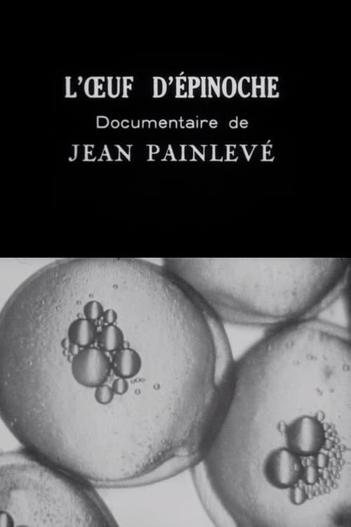 The Stickleback's Eggs movie poster