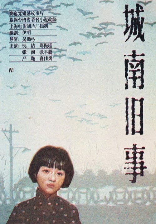 My Memories of Old Beijing movie poster