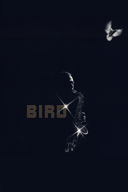 Bird movie poster