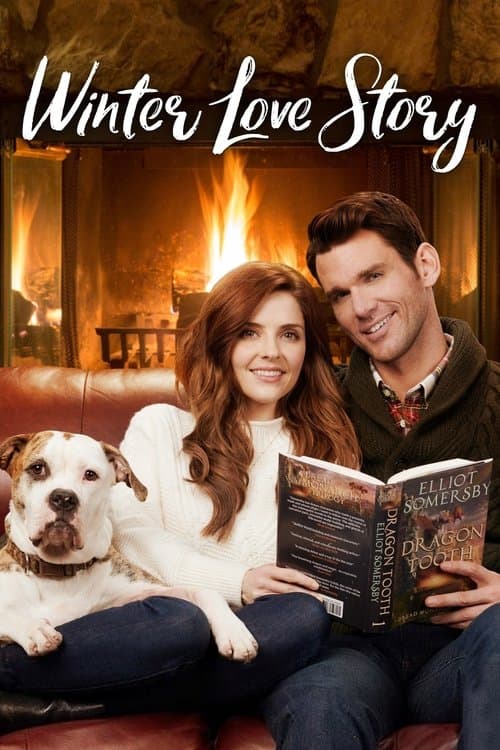 Winter Love Story movie poster