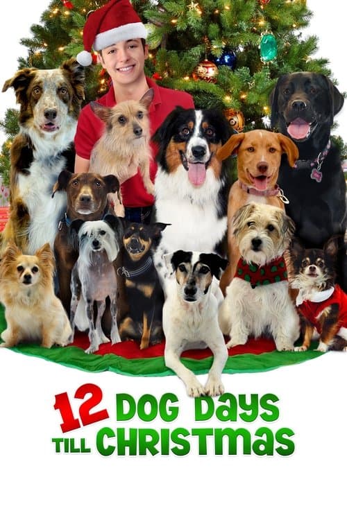 12 Dog Days Till Christmas movie poster