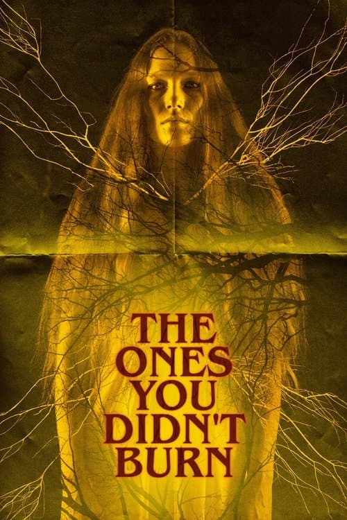 The Ones You Didn’t Burn movie poster