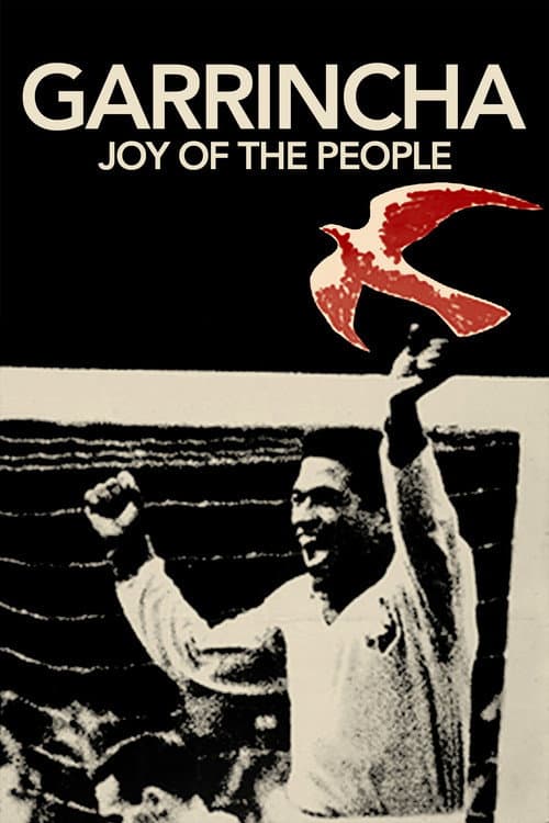 Garrincha: Joy of the People movie poster