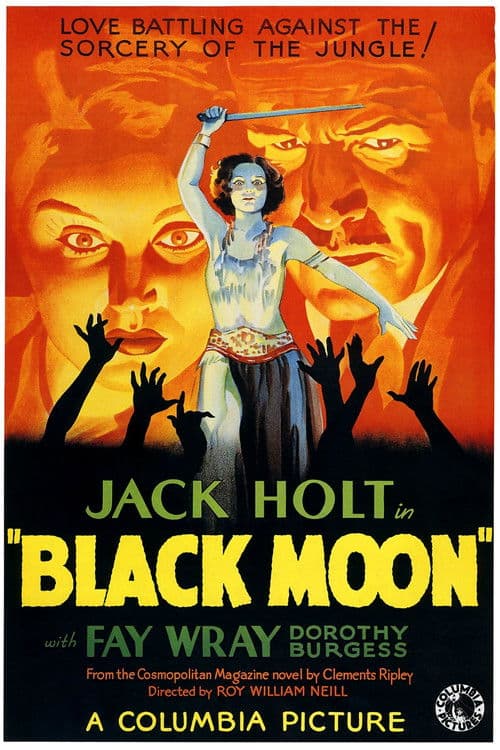 Black Moon movie poster
