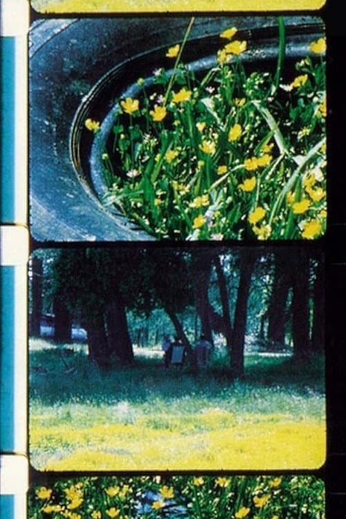 Bouquets 1-10 movie poster