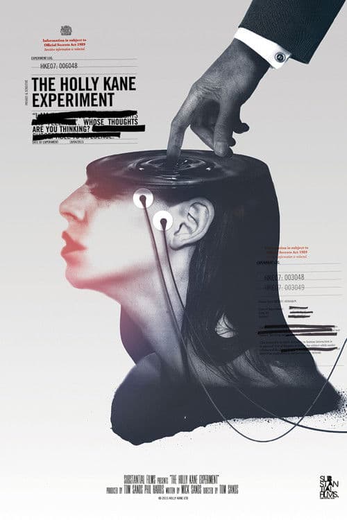The Holly Kane Experiment movie poster