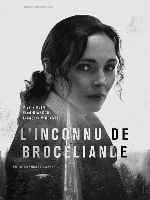 Murder in Brocéliande movie poster