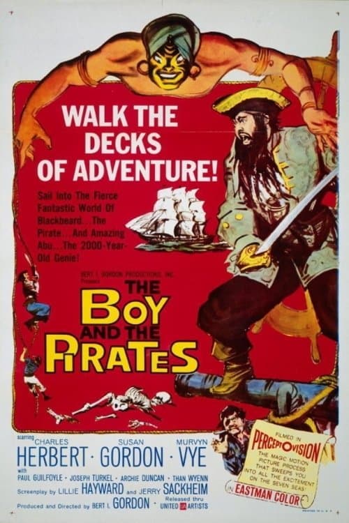 The Boy and the Pirates movie poster