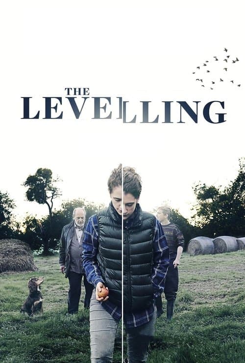 The Levelling movie poster