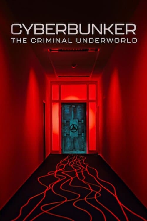 Cyberbunker: The Criminal Underworld movie poster