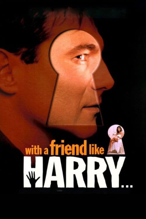 With a Friend Like Harry... movie poster