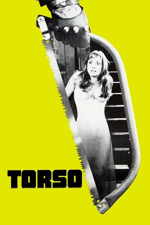 Torso movie poster
