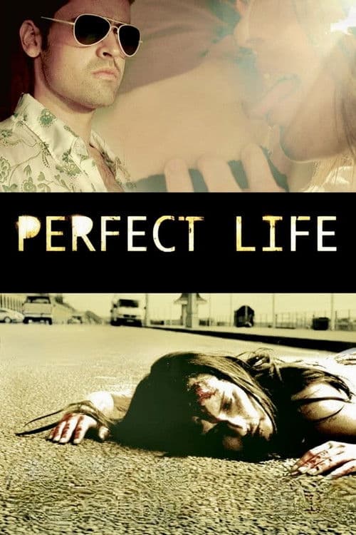 Perfect Life movie poster