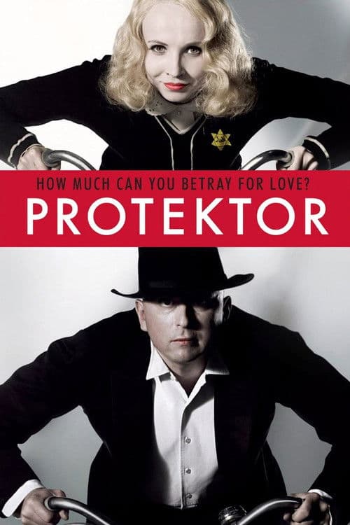 The Protector movie poster