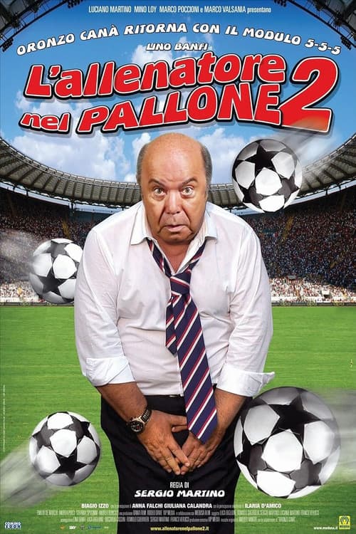L'allenatore nel pallone 2 movie poster
