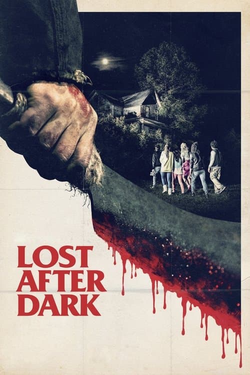 Lost After Dark movie poster