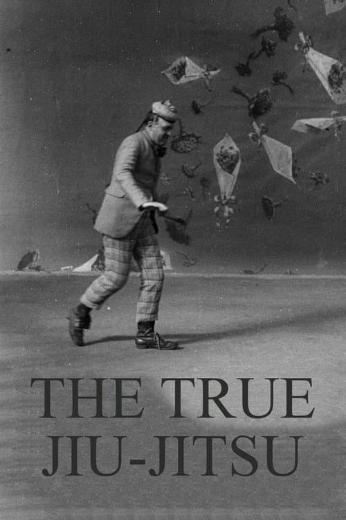 Dranem Performs The True Jiu-Jitsu movie poster