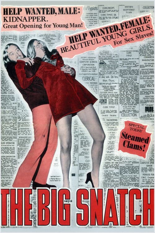The Big Snatch movie poster