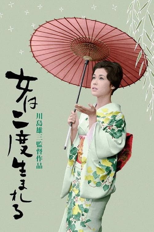 A Geisha's Diary movie poster