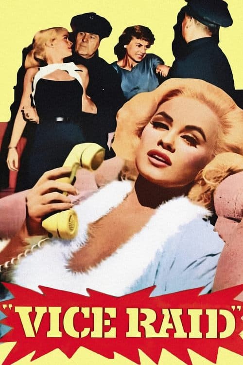 Vice Raid movie poster