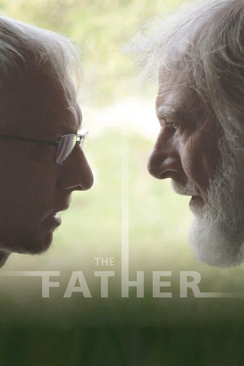 The Father movie poster