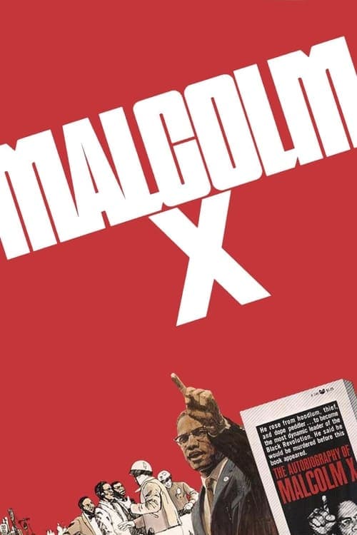 Malcolm X movie poster