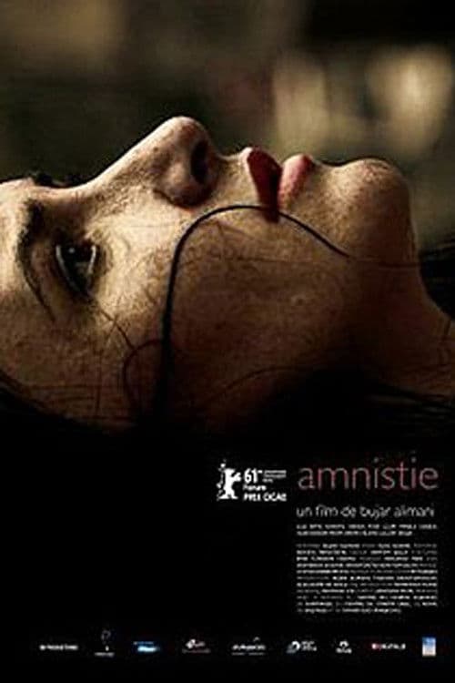 Amnesty movie poster
