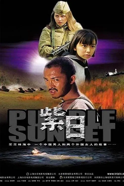 Purple Sunset movie poster