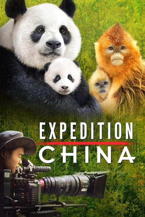 Expedition China movie poster