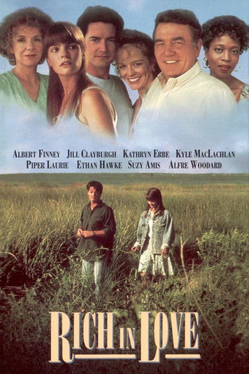 Rich in Love movie poster