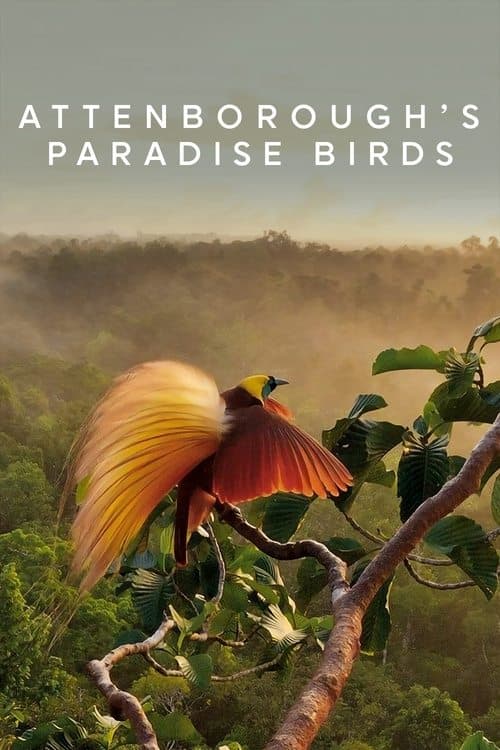 Attenborough's Paradise Birds movie poster