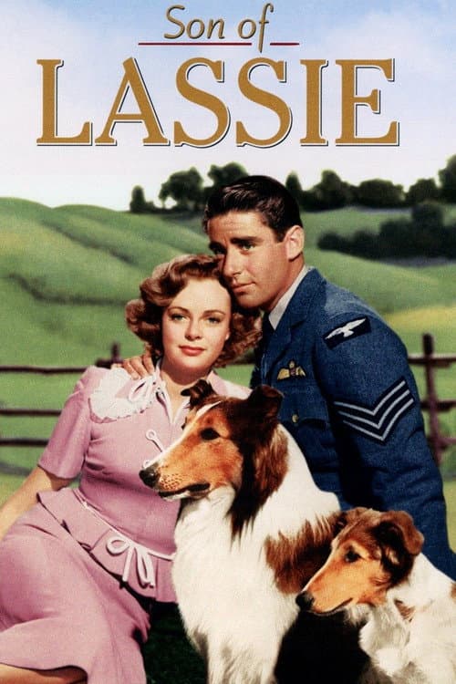 Son of Lassie movie poster