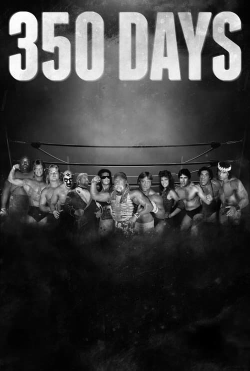 350 Days movie poster