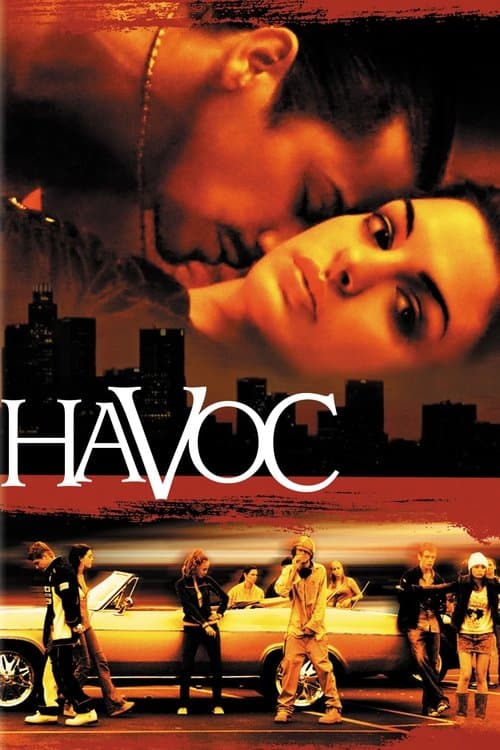 Havoc movie poster