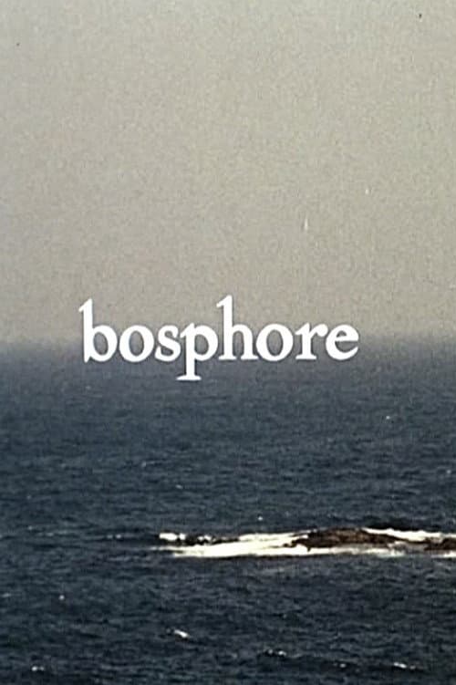 Bosphore movie poster