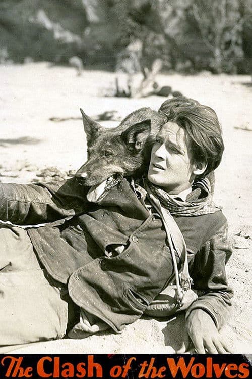 Clash of the Wolves movie poster