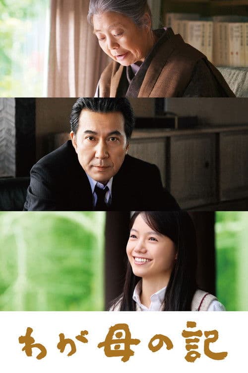 Chronicle of My Mother movie poster