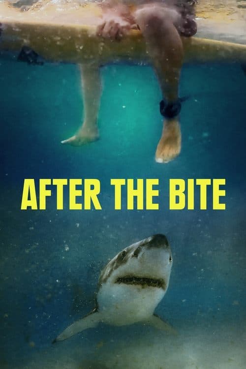 After the Bite movie poster