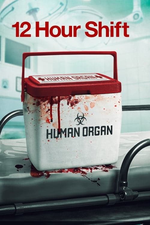 12 Hour Shift movie poster