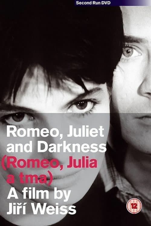 Romeo, Juliet and Darkness movie poster