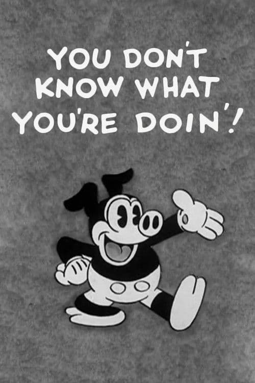 You Don't Know What You're Doin'! movie poster