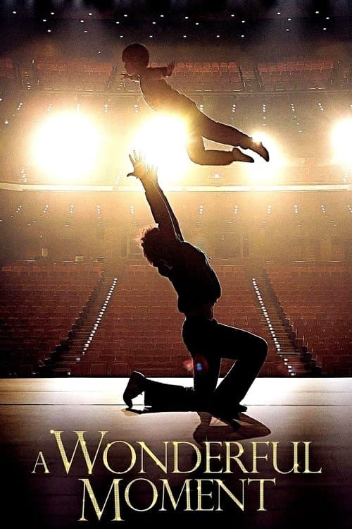 A Wonderful Moment movie poster