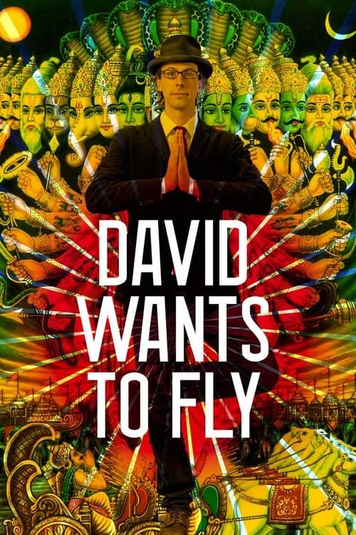 David Wants to Fly movie poster