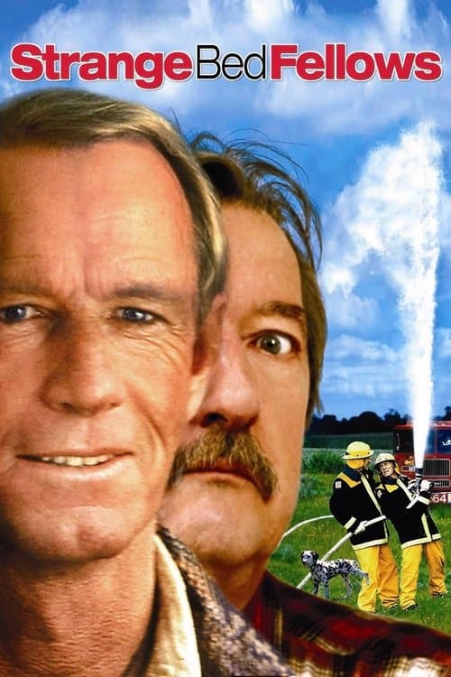 Strange Bedfellows movie poster