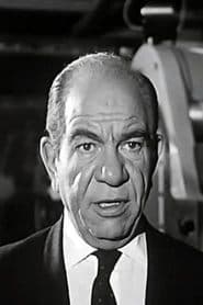 Abdel Khaleq Saleh as همام بك